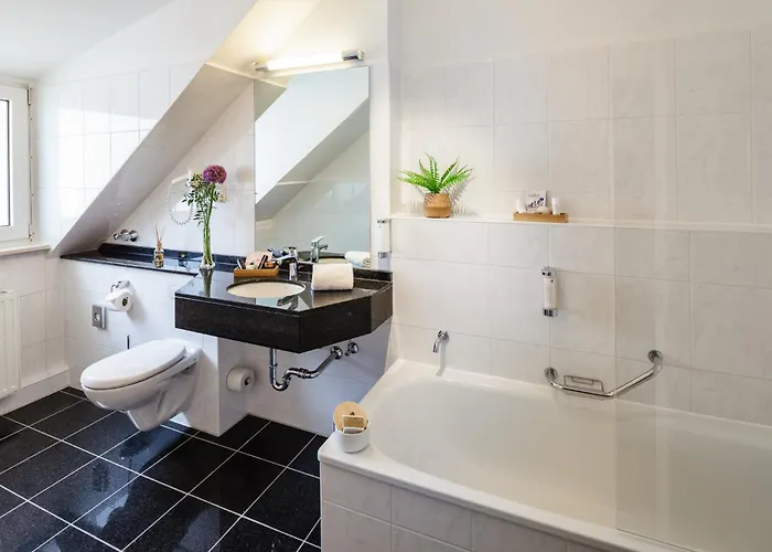 Star-apart Hansa Hotel