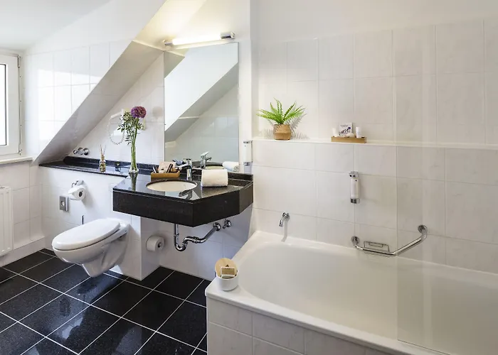 Star-apart Hansa Hotel